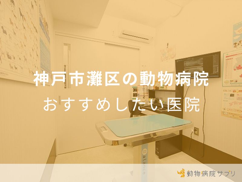 神戸市灘区の動物病院 おすすめしたい医院