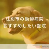 江別市の動物病院おすすめしたい医院