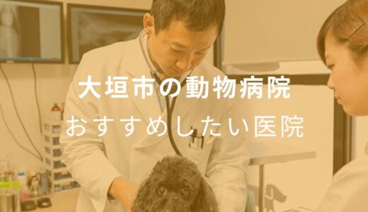 【2024年】大垣市の動物病院 おすすめしたい6医院