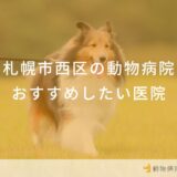 札幌市西区の動物病院おすすめしたい医院