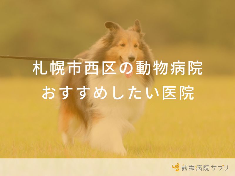 札幌市西区の動物病院おすすめしたい医院