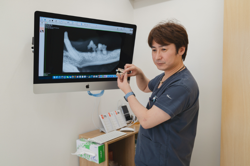 埼大通りどうぶつ病院