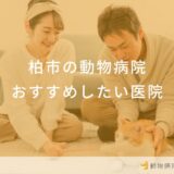 柏市の動物病院おすすめしたい医院