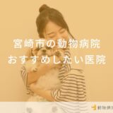 宮崎市の動物病院おすすめしたい医院