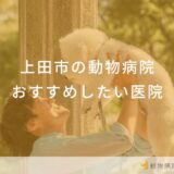 上田市の動物病院おすすめしたい医院