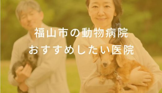 【2024年】福山市の動物病院 おすすめしたい5医院