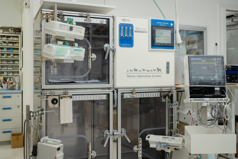 埼大通りどうぶつ病院