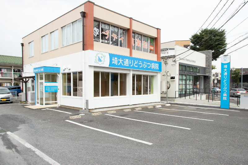 埼大通りどうぶつ病院