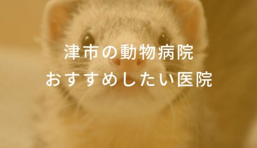 【2024年】津市の動物病院 おすすめしたい6医院