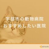 宇部市の動物病院おすすめしたい医院