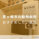 茅ヶ崎市の動物病院 おすすめしたい医院