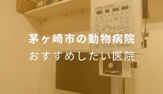 【2024年】茅ヶ崎市の動物病院 おすすめしたい6医院