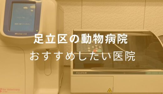 【2024年】足立区の動物病院 おすすめしたい6医院