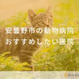 安曇野市の動物病院おすすめしたい医院