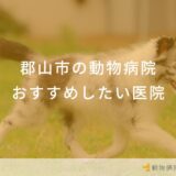 郡山市の動物病院おすすめしたい医院