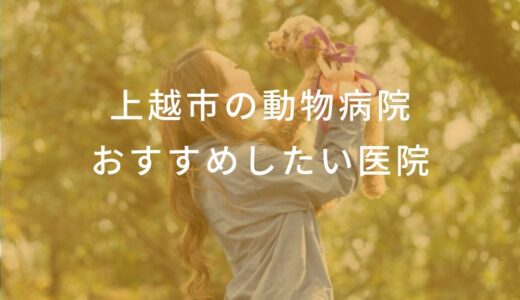 【2024年】上越市の動物病院 おすすめしたい6医院