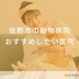 佐野市の動物病院おすすめしたい医院