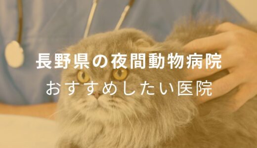 【2024年】長野県の夜間動物病院 おすすめしたい3医院