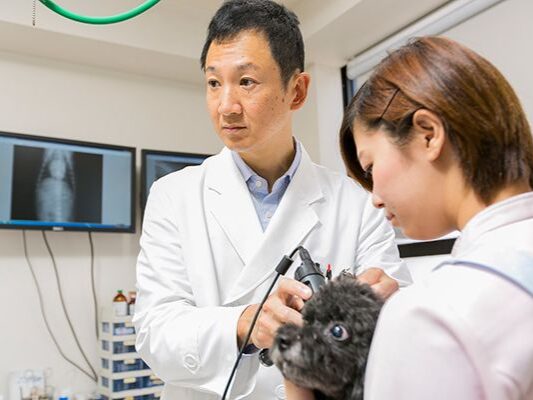 あづペットクリニック