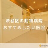 渋谷区の動物病院 おすすめしたい医院