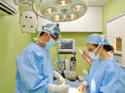 広尾の森どうぶつ病院