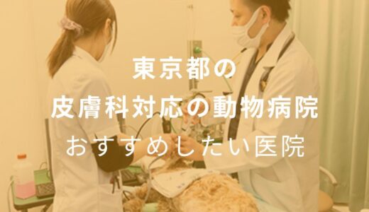 【2024年】東京都の皮膚科対応の動物病院 おすすめしたい6医院