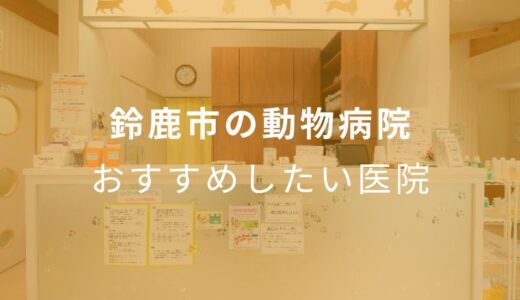【2024年】鈴鹿市の動物病院 おすすめしたい6医院