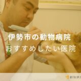 【2024年】伊勢市の動物病院 おすすめしたい6医院