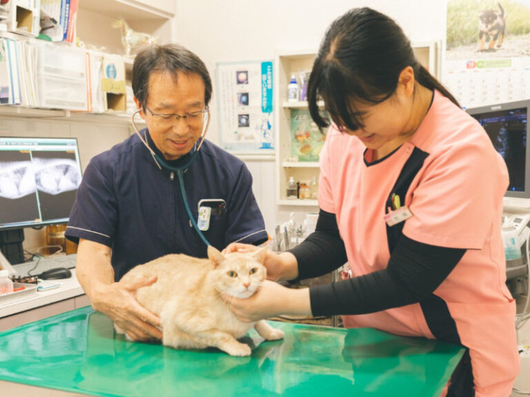 倉敷動物愛護病院