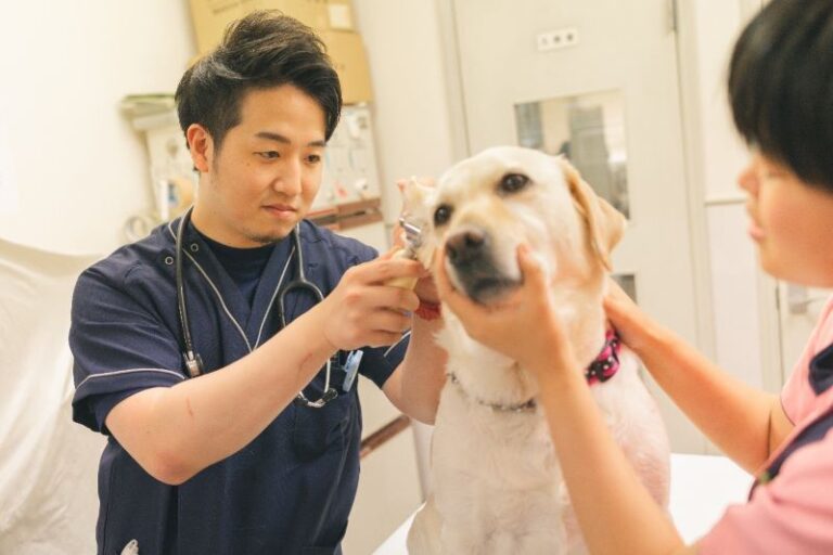 倉敷動物愛護病院