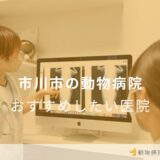 【2024年】市川市の動物病院 おすすめしたい6医院
