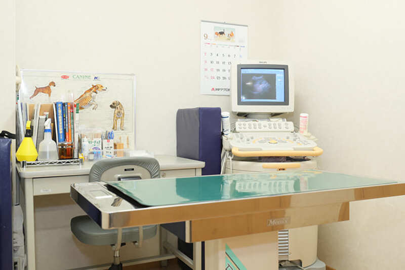 ちかむね動物病院