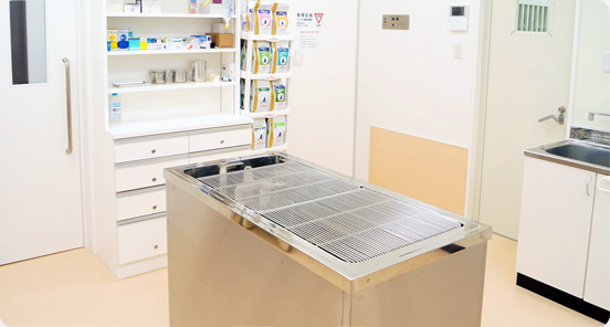 一色どうぶつ病院