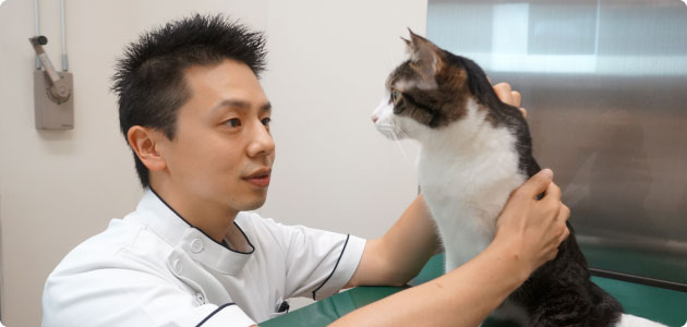 レイクサイド動物病院