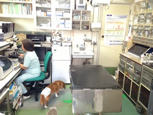 中阪獣医科医院