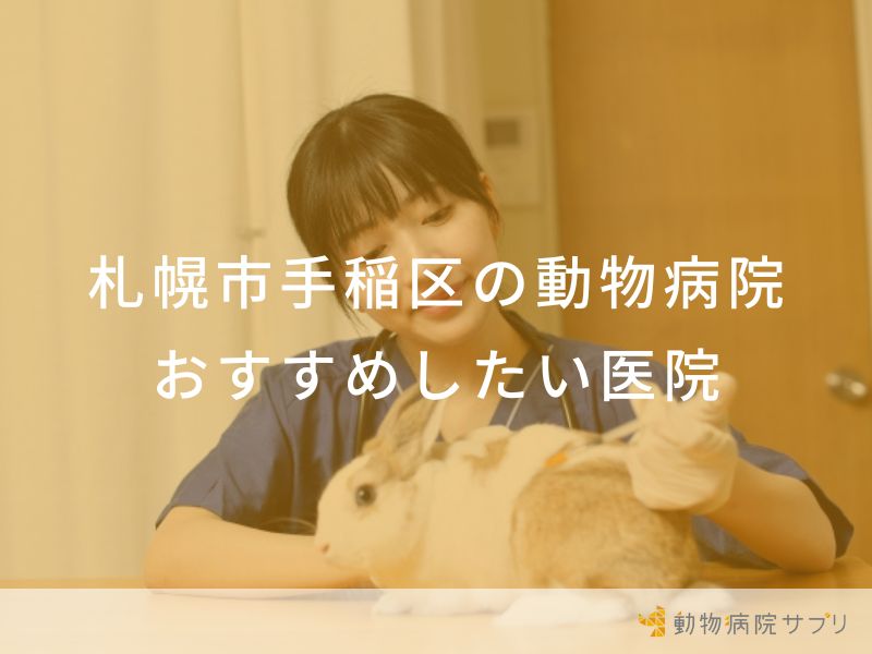 【2024年】札幌市手稲区の動物病院 おすすめしたい6医院