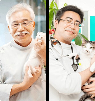 天白動物病院photo