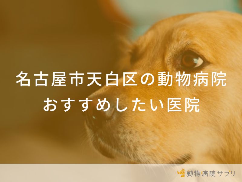 【2024年】名古屋市天白区の動物病院 おすすめしたい4医院