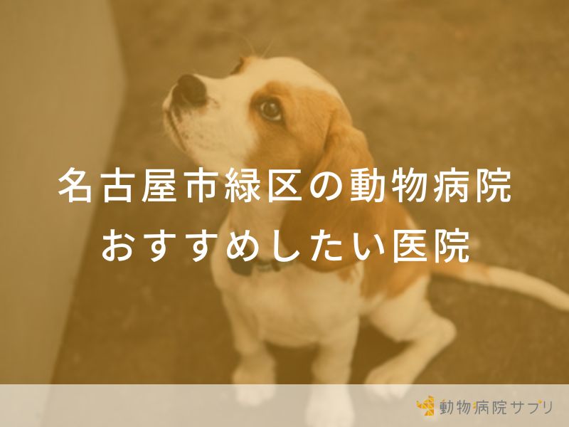 【2024年】名古屋市緑区の動物病院 おすすめしたい5医院