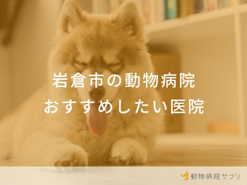 【2024年】岩倉市の動物病院 おすすめしたい2医院