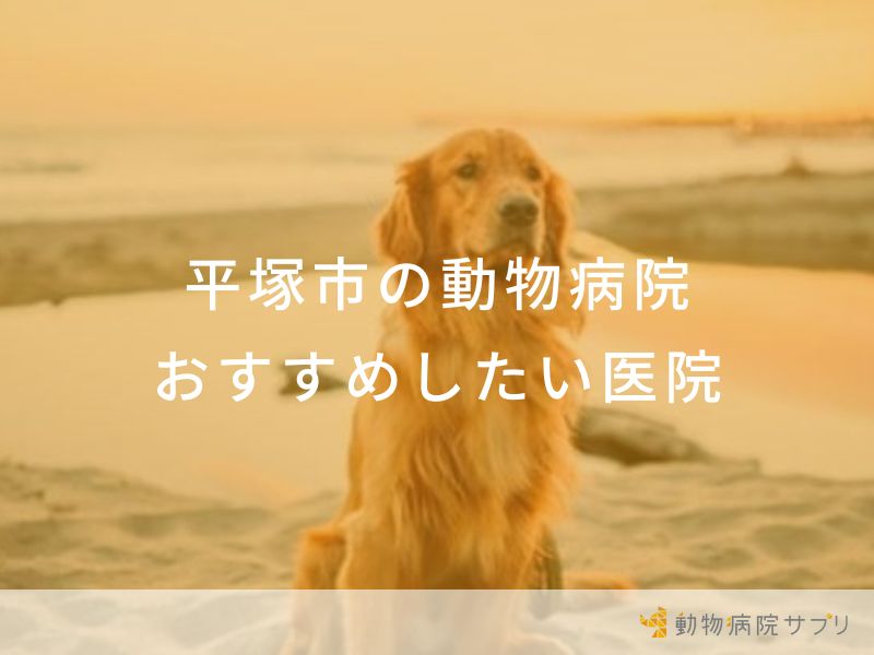 【2024年】平塚市の動物病院 おすすめしたい6医院