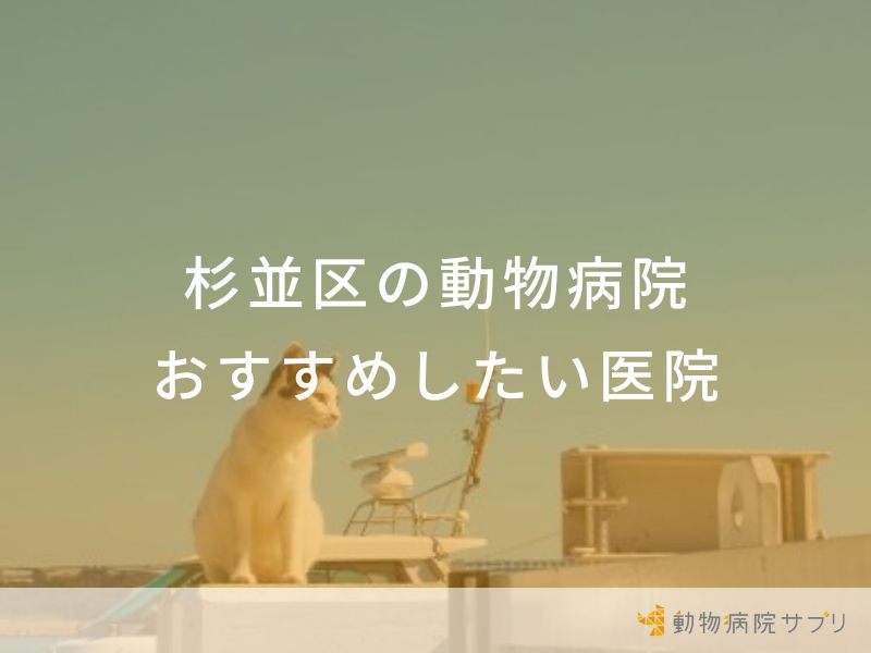 【2024年】杉並区の動物病院 おすすめしたい5医院