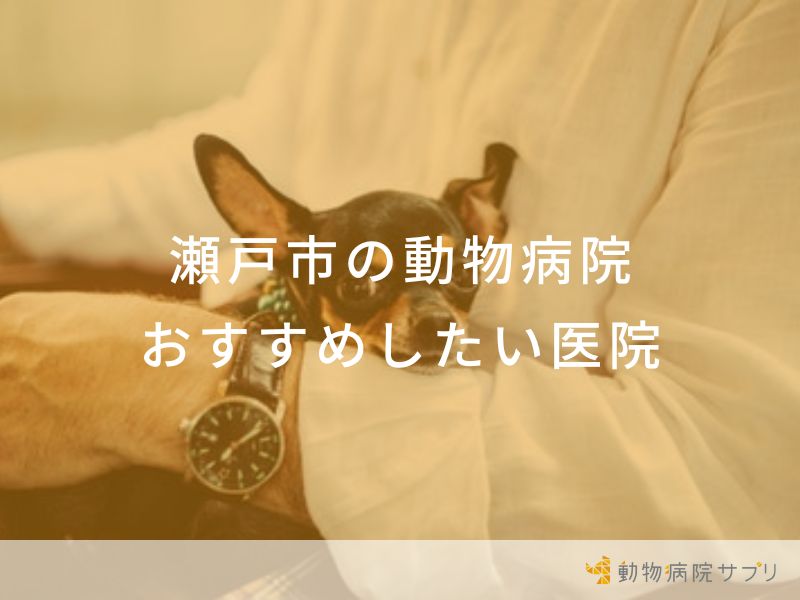 【2024年】瀬戸市の動物病院 おすすめしたい5医院