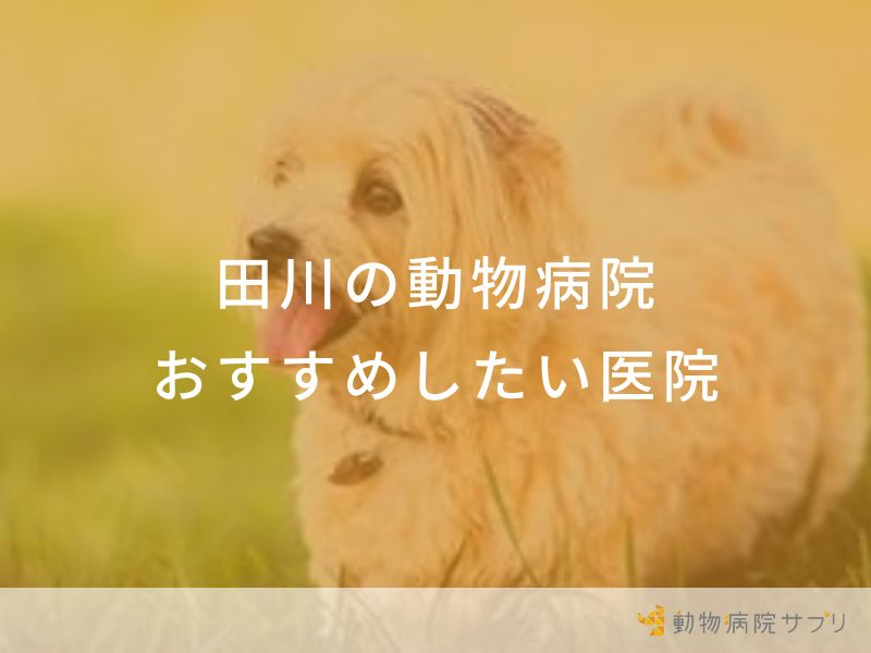 【2024年】田川の動物病院 おすすめしたい6医院