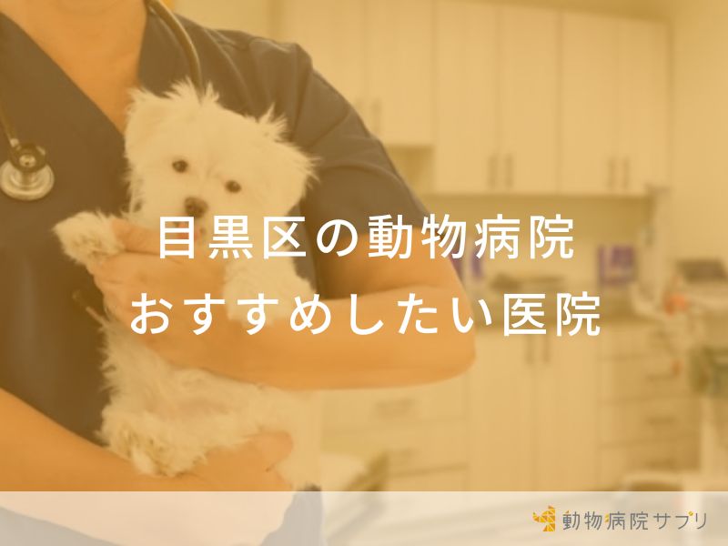 【2024年】目黒区の動物病院 おすすめしたい8医院