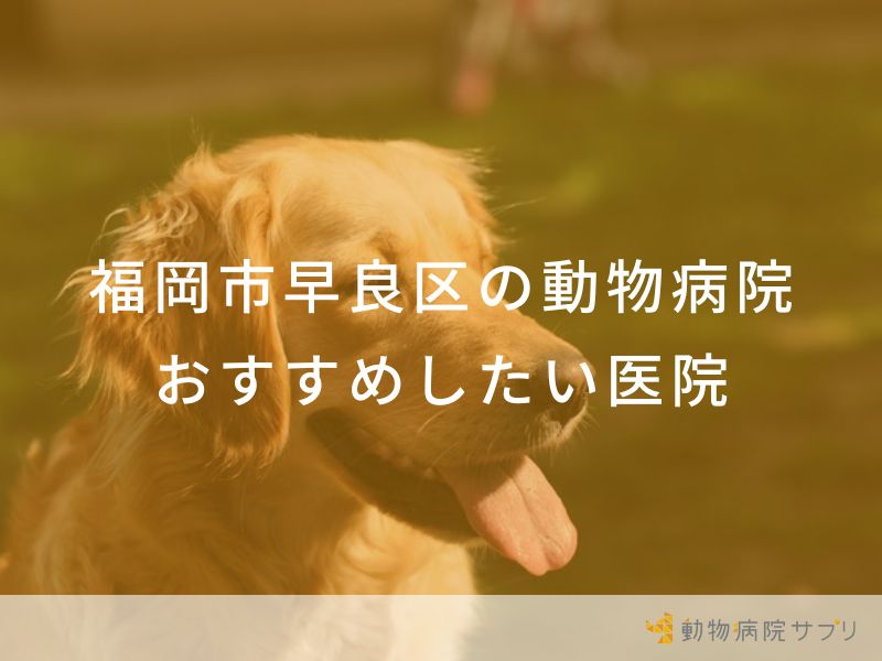 【2024年】福岡市早良区の動物病院 おすすめしたい4医院