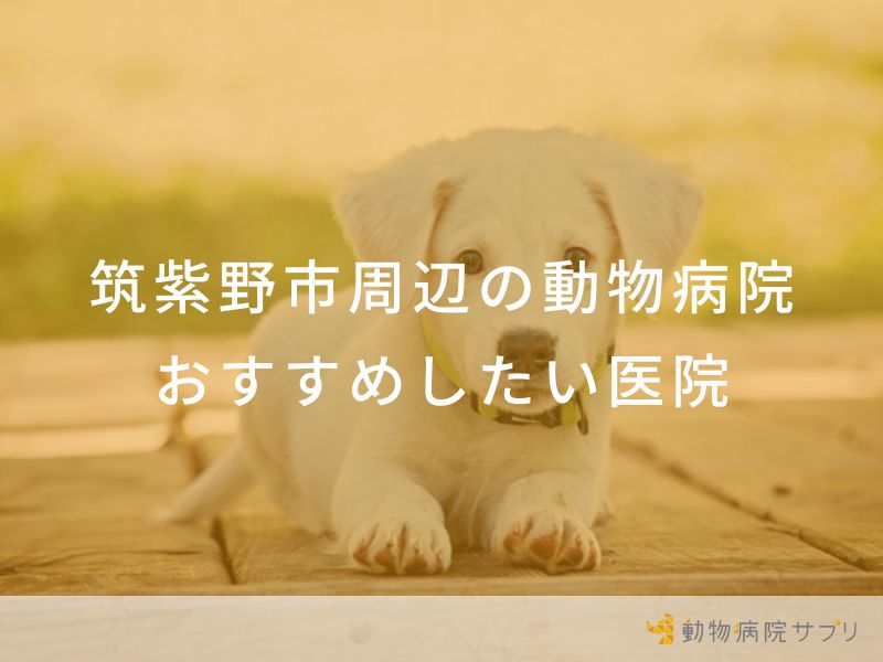 【2024年】筑紫野市周辺の動物病院 おすすめしたい8医院