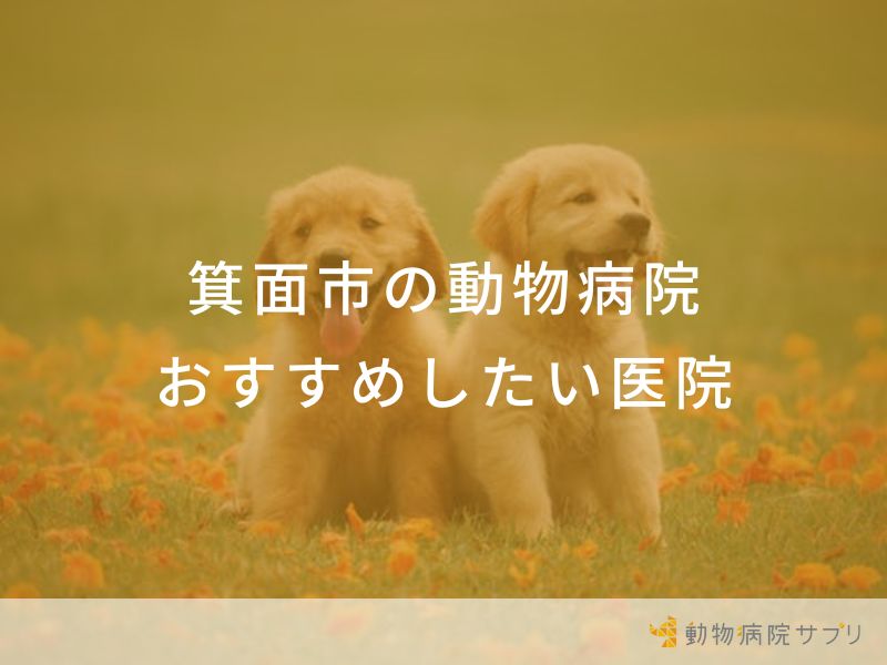 【2024年】箕面市の動物病院 おすすめしたい6医院